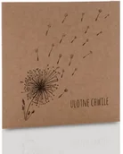 Pudełka i akcesoria na płyty CD - Obwoluta TS kraft dmuchawce (na płytę CD/DVD) - miniaturka - grafika 1