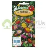 Nasiona i cebule - Legutko Mieszanka na suche bukiety 1g - miniaturka - grafika 1