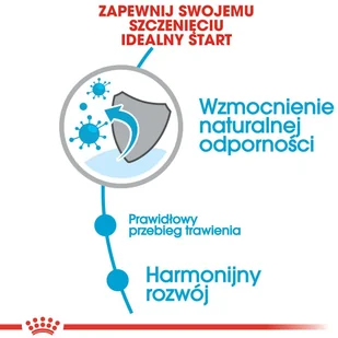 Royal Canin Mini Puppy 8kg + 12x85g saszetka 9003579008201/0 - Mokra karma dla psów - miniaturka - grafika 5