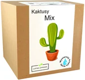 Nasiona i cebule - Zestaw do uprawy Kaktusy MIX kaktus sukulenty - miniaturka - grafika 1