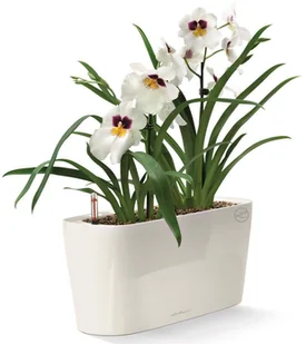 Lechuza Donica Delta 20 ALL-IN-ONE, biała, wysoki połysk, 15560 - Donice - miniaturka - grafika 3