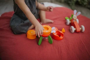 Janod Rakieta drewniana magnetyczna marchewka z Królikiem J08250 - Figurki dla dzieci Janod Rakieta drewniana magnetyczna marchewka z Królikiem J08250 - Figurki dla dzieci - miniaturka - grafika 17