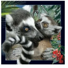 Worth-Keeping Gadżet Worth-Keeping Magnes na lodówkę 3D Lemur WIKR-1000418 WIKR-1000418 - Gadżety USB - miniaturka - grafika 2