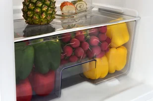 Lodówka Amica KS15614S - Lodówki - miniaturka - grafika 13