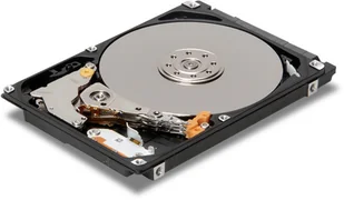 Lenovo LTS TS150 3.5in 1TB 7.2K Enterprise SATA 6Gbps HDD (4XB0G88760) - Dyski serwerowe - miniaturka - grafika 2