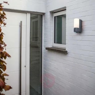 Lutec Lampa zewnętrzna POLLUX 5196001118 - Lampy ogrodowe - miniaturka - grafika 5