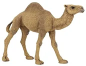 Figurki dla dzieci - Papo papo 50151 dromader, do gry - miniaturka - grafika 1