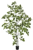 Sztuczne drzewka - Europalms Euro Palms 82505231 brzoza drzewo 180 cm 82505231 - miniaturka - grafika 1