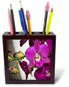 Pojemniki biurowe - 3dRose 3dRose ph_252518_1 15 cm"Ladies is a Photo of Beautiful Tiny Storczyki" Uchwyt na długopisy do płytek - różowy ph_252518_1 - miniaturka - grafika 1