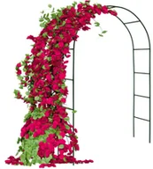 Kratki i pergole - Lumarko Lumarko Pergola metalowa - łuk 5907439171217 Goc - miniaturka - grafika 1
