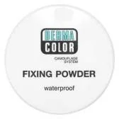 Pudry do twarzy - KRYOLAN Dermacolor Fixerpowder puder matująco-utrwalający 60g - miniaturka - grafika 1