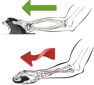 Fellowes Penguin (9894601 ) - Myszki - miniaturka - grafika 2