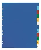 Artykuły biurowe - Elba Przekładki PP A4 MAXI kolorowe 1-31 E17563120 - miniaturka - grafika 1