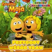 Baśnie, bajki, legendy - PRZYGODA WŚRÓD TRAW PSZCZÓŁKA MAJA Opracowanie zbiorowe - miniaturka - grafika 1
