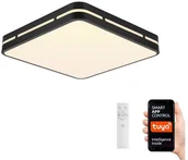Systemy inteligentnych domów - Immax Neo Immax NEO 07154-B42 - LED Ściemniana lampa PERFECTO 48W/230V Wi-Fi Tuya + pilot - miniaturka - grafika 1