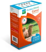 Trawy i trawniki - OBI Global Grass Mieszanka traw Camel 1 kg - miniaturka - grafika 1