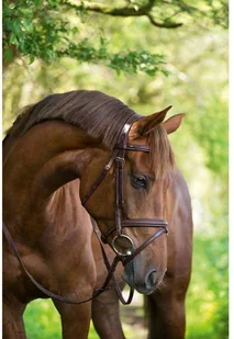 Kerbl Ogłowie wędzidłowe Classic, skóra, brązowe, rozmiar Cob, 324912 - Ogłowia - miniaturka - grafika 3