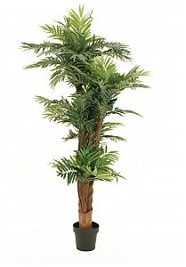 Europalms EUROPALMS Palma Areca, sztuczna roślina, 170 cm 82509408 - Sztuczne drzewka Europalms EUROPALMS Palma Areca, sztuczna roślina, 170 cm 82509408 - Sztuczne drzewka - miniaturka - grafika 1
