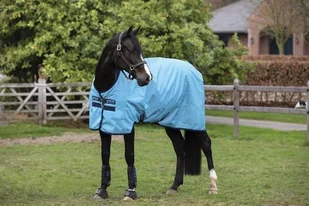 Horseware ireland Derka padokowa, przeciwdeszczowa 0g 600D AMIGO Hero Ripstop - HORSEWARE - Delphinum Blue & Navy AAPA90 - Derki dla konia - miniaturka - grafika 2