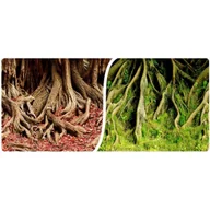 Dekoracje do akwarium - Happet Tło do akwarium 8009 rolka 40cm - miniaturka - grafika 1