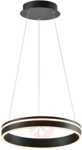 Paul Neuhaus Inteligentna lampa wisząca ciemnoszara 40 cm z pilotem - Ronith - Systemy inteligentnych domów - miniaturka - grafika 2