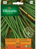 Nasiona i cebule - Vilmorin Nasiona fasola szparagowa zielona Oxinel - miniaturka - grafika 1