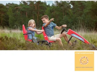 Berg Fotel pasażera Basic/Extra Czerwony do 30 kg - Jeździki dla dzieci - miniaturka - grafika 3