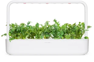 CLICK AND GROW Click And Grow Kapsułki roślinne Click and Grow Plant Pods Rukola 3-Pack SGR19X3 4742793008769 - Systemy inteligentnych domów CLICK AND GROW Click And Grow Kapsułki roślinne Click and Grow Plant Pods Rukola 3-Pack SGR19X3 4742793008769 - Systemy inteligentnych domów - miniaturka - grafika 9