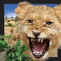 Worth-Keeping Gadżet Worth-Keeping Magnes na lodówkę 3D Lew WIKR-1000423 WIKR-1000423 - Gadżety USB - miniaturka - grafika 3