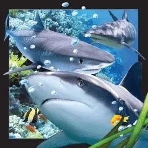 Worth-Keeping Gadżet Worth-Keeping Magnes na lodówkę 3D Rekin WIKR-1000416 WIKR-1000416 - Gadżety USB - miniaturka - grafika 4