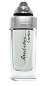 Wody i perfumy męskie - Cartier Roadster Woda toaletowa 100ml - miniaturka - grafika 1