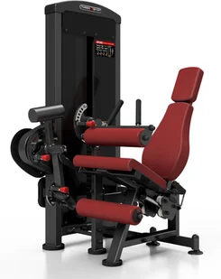 Marbo Sport Maszyna 2-w-1 na dwugłowy i czworogłowy uda MP-U216 - Atlasy do ćwiczeń Marbo Sport Maszyna 2-w-1 na dwugłowy i czworogłowy uda MP-U216 - Atlasy do ćwiczeń - miniaturka - grafika 3