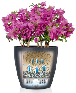 Lechuza Donica CLASSICO Color 60 piaskowy brąz - Donice - miniaturka - grafika 5