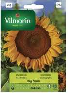 Nasiona i cebule - Vilmorin Nasiona słonecznik Big Smile - miniaturka - grafika 1