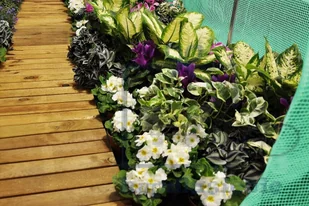 Home&Garden Tunel foliowy 200 cm x 300 cm (6 m2) - kolor zielony - Szklarnie ogrodowe Home&Garden Tunel foliowy 200 cm x 300 cm (6 m2) - kolor zielony - Szklarnie ogrodowe - miniaturka - grafika 5