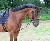 Akcesoria jeździeckie - Kerbl Czambon gumowy - 323600 - miniaturka - grafika 1