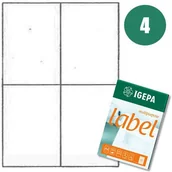 Etykiety do drukarek - Igepa 105*148mm etykiety (100ark.) - miniaturka - grafika 1