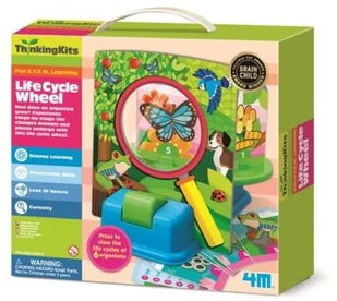 4M koło cyklu życia - Zabawki kreatywne - miniaturka - grafika 2