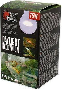 Repti Planet RP Żarówka Daylight Neodymium 75W - Akcesoria do terrarium - miniaturka - grafika 2