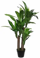 Sztuczne kwiaty - MICA Decorations Mica decorations 1026439 dracena wonna w doniczce Zielony  H110 X d60 cm roślina z tworzywa sztucznego, guma, zielona, 60 x 60 x 110 cm 1026439 - miniaturka - grafika 1
