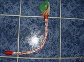 Pozostałe akcesoria dla kotów - Kerbl KERBL lina bawełna drążek, 40 cm - miniaturka - grafika 1