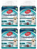 Maty do nauki czystości - simple solution SIMPLE Solution Trainingsunterlagen - miniaturka - grafika 1