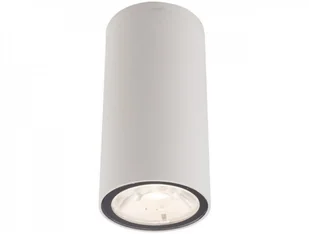 Nowodvorski PLAFON ZEWNĘTRZNY EDESA LED WHITE | BIAŁY S 9111) 9111Nowodvorski - Lampy ogrodowe - miniaturka - grafika 2