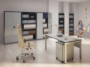 150 Szafer Solidna szafa metalowa wymagania RODO! wymiary 1990x800x435 mm) 15076455 76455-uniw - Szafy i regały magazynowe 150 Szafer Solidna szafa metalowa wymagania RODO! wymiary 1990x800x435 mm) 15076455 76455-uniw - Szafy i regały magazynowe - miniaturka - grafika 3