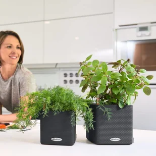 Lechuza Donica stołowa CUBE Color 16 ALL-IN-ONE, antracytowa - Donice - miniaturka - grafika 8