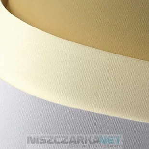 Galeria Papieru KARTON WIZYTÓWKOWY ARGO 230G PRĄŻKI JASNOBRĄZOWY 20 SZT. - Papier do drukarek - miniaturka - grafika 2