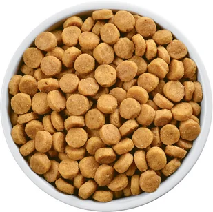 Hills u/d Urinary Care 10kg - Sucha karma dla psów - miniaturka - grafika 3