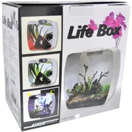 Terraria - Lucky Reptile LB Life Box Nanoterrarium ze szkła akrylowego, biały - miniaturka - grafika 1