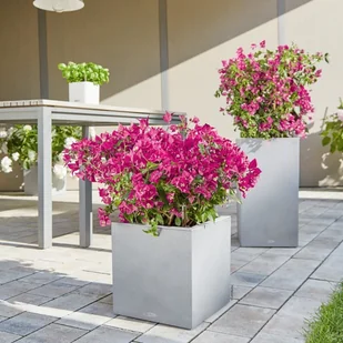 Lechuza Donica CANTO Stone Kostka 30 biały kwarcowy CANTO S. KOS 30 KWAR - Donice - miniaturka - grafika 7