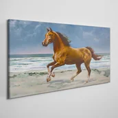 Obrazy i zdjęcia - PL Coloray Obraz Canvas plaża wybrzeże koń morze fale 100x50cm - miniaturka - grafika 1
